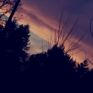 Meet your Posher, Serenity